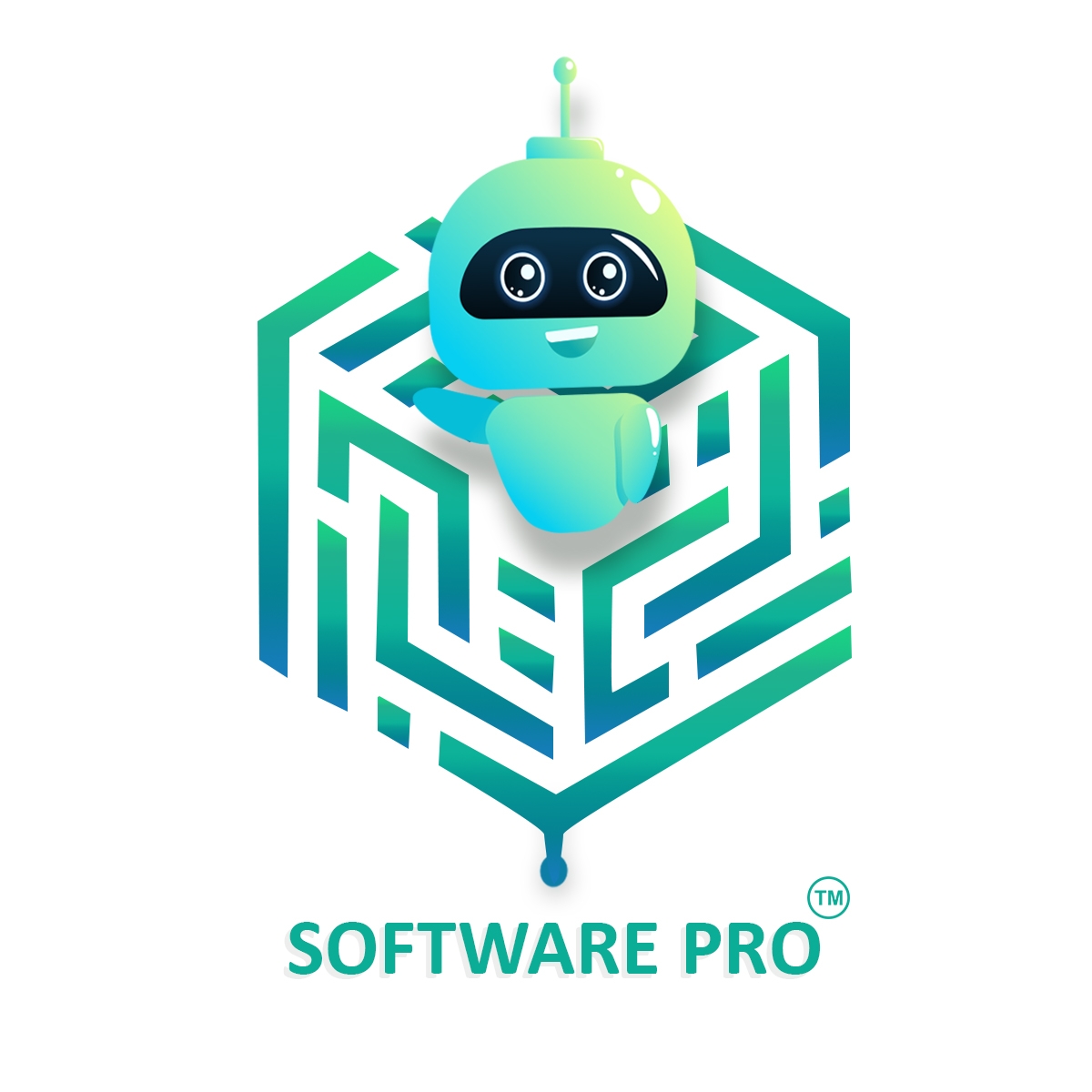 Software Pro Digital